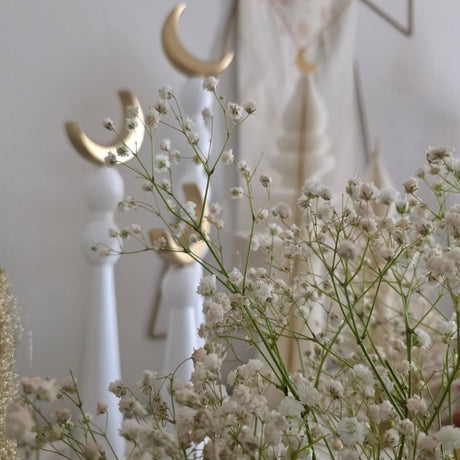 HILAL Elegance and Refinement